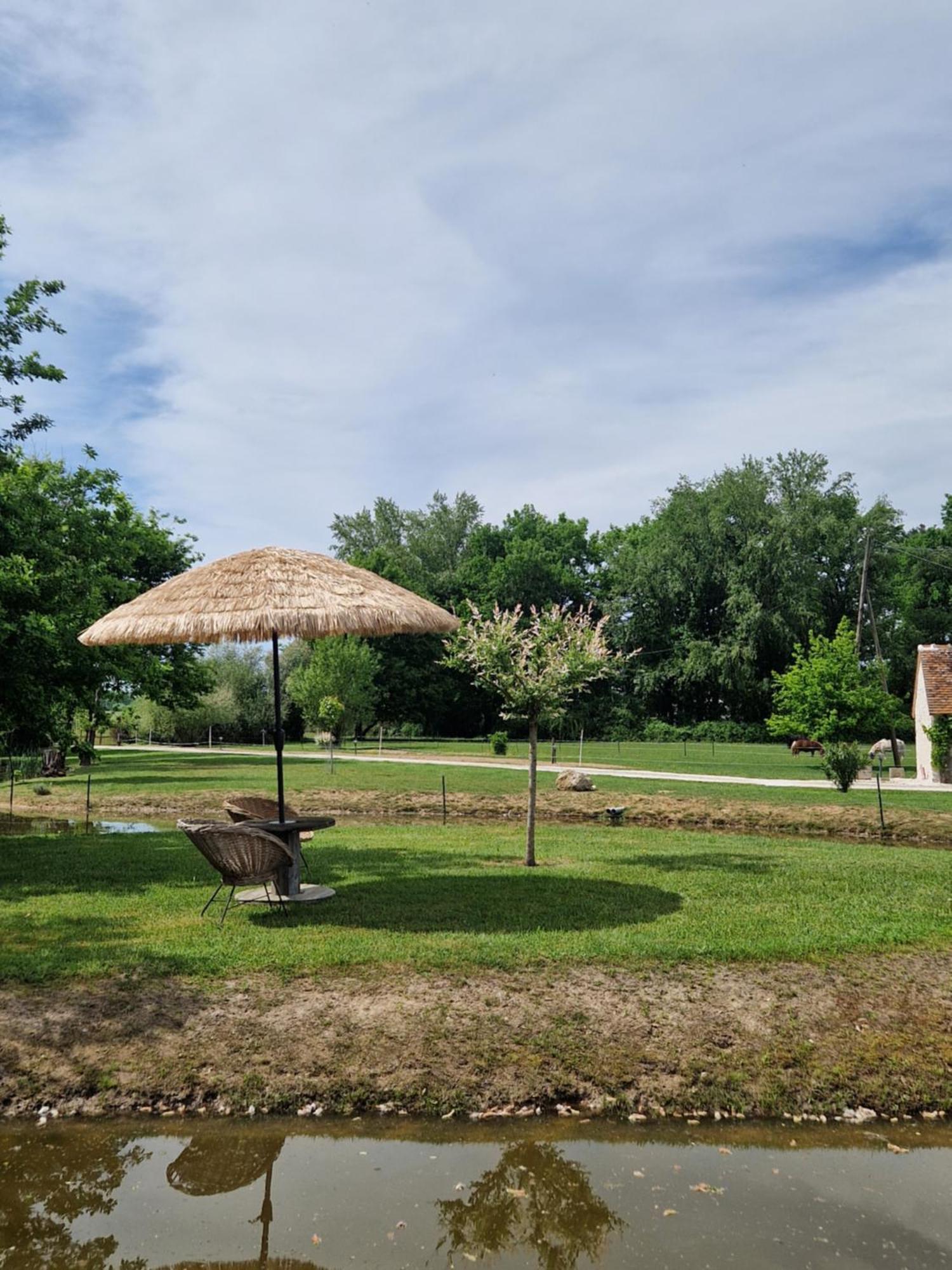 Maison De Campagne Soings-en-Sologne Exterior photo