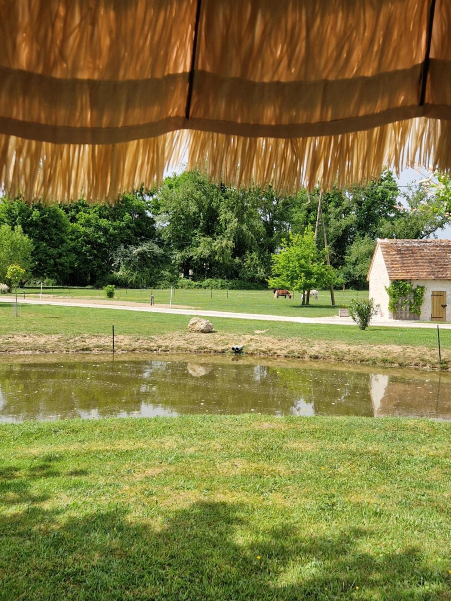 Maison De Campagne Soings-en-Sologne Exterior photo